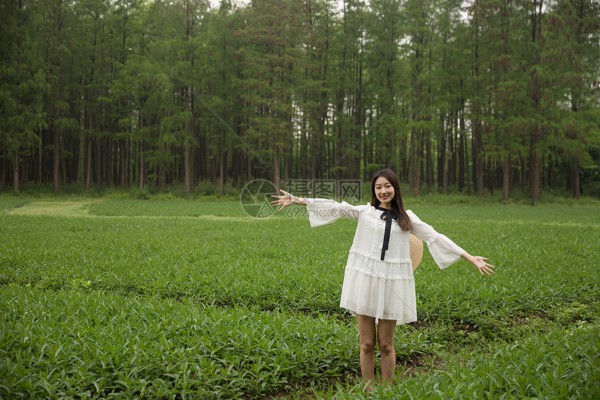 武汉工作室，养生从一杯茶开始！